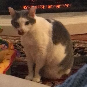 Meet your Posher, Joelle